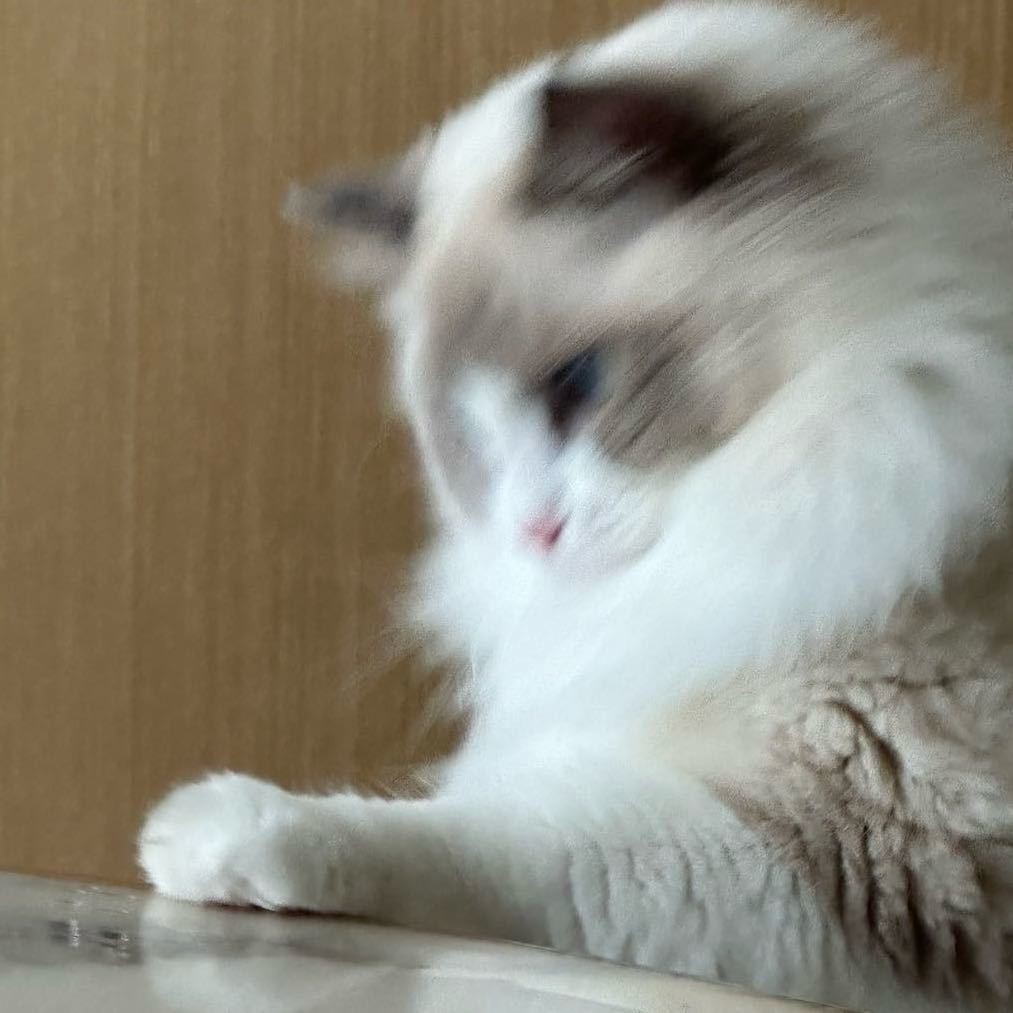 TEST-Betaal alleen voor het prijsverschil