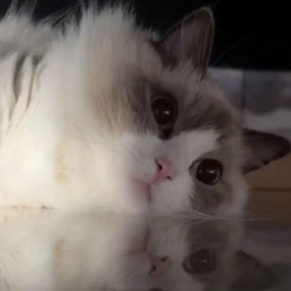 TEST-Betaal alleen voor het prijsverschil