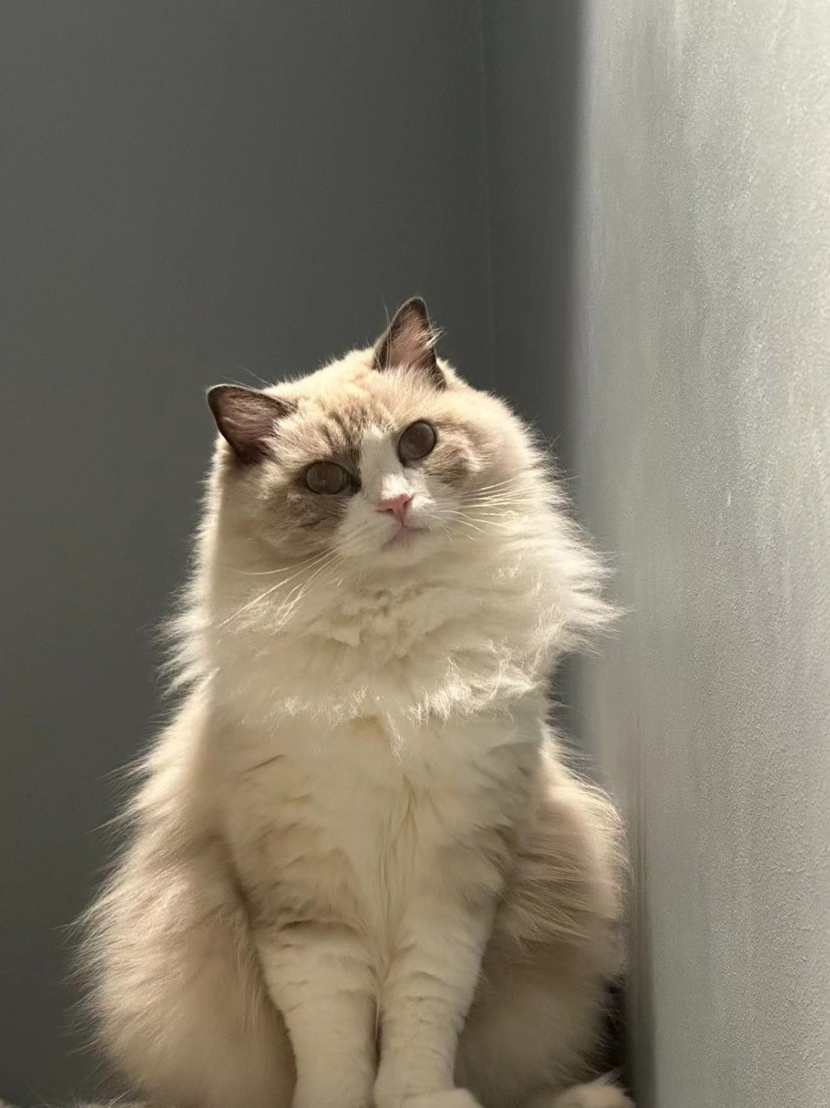 TEST-Betaal alleen voor het prijsverschil