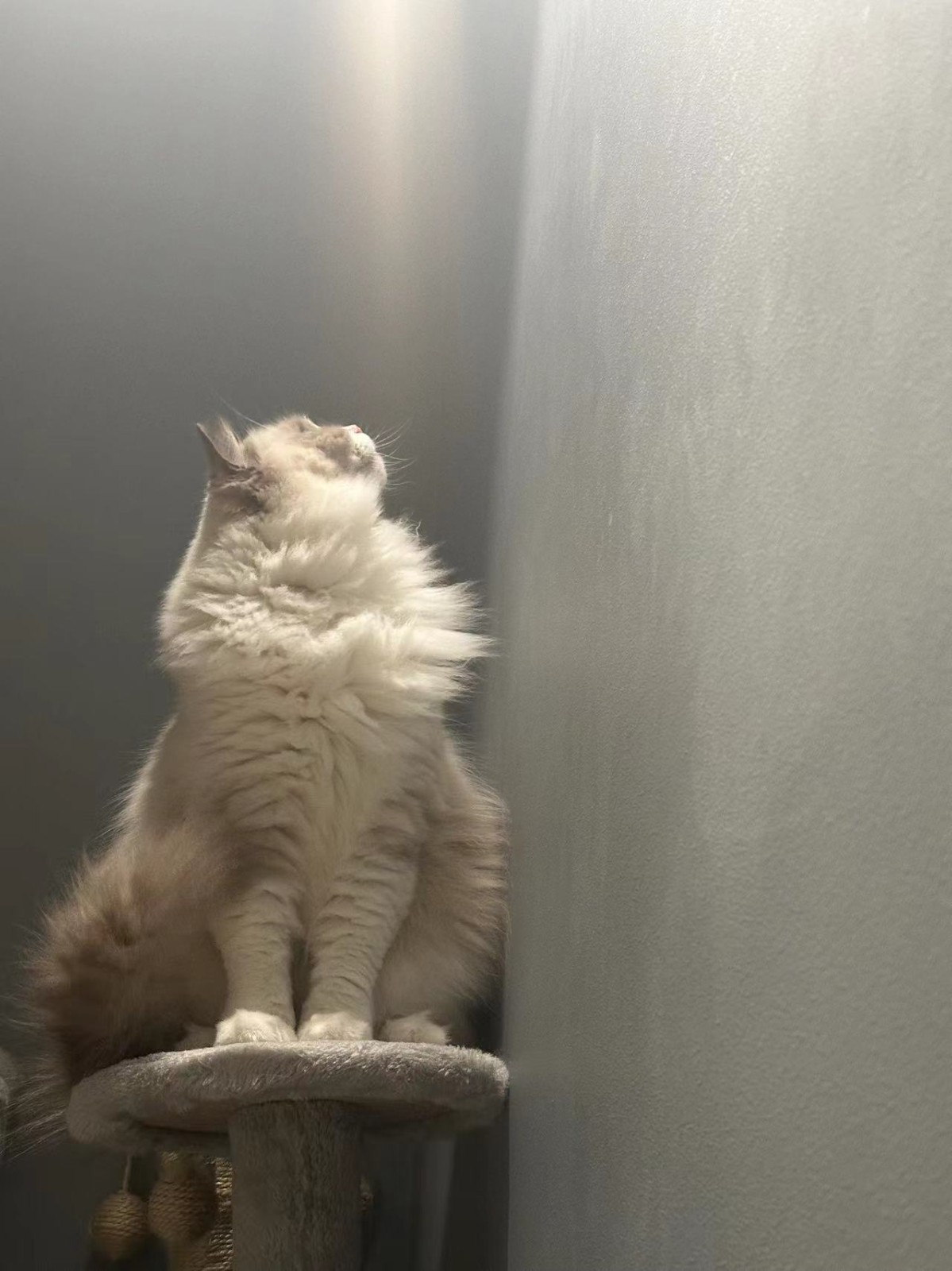 TEST-Betaal alleen voor het prijsverschil